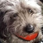 Profile Picture of Harold Baldwin (@harold.baldwin.980) on Instagram