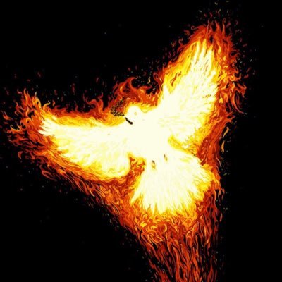 Profile Picture of Harrison Grant (@Harrison_macey2) on Twitter