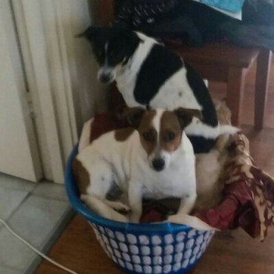 Profile Picture of Lisa Dolan (@Lisadolan34) on Twitter