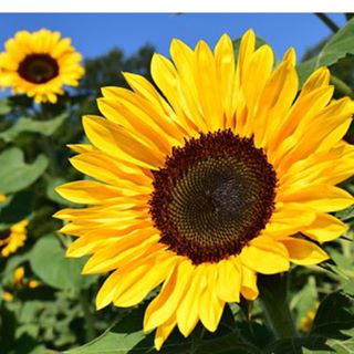 Profile Picture of Hailey Rivas (@Hailey-Rivas) on Facebook