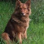 Profile Picture of francoise renaud (@francoise_renaud) on Instagram