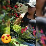 Profile Picture of anabel alcantara (@alcantaraanabel34) on Instagram