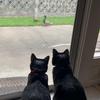 Profile Picture of kimdunham449 (@@kimdunham449) on Tiktok