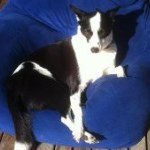 Profile Picture of Aimee McCann (@aimeehmccann) on Instagram