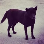 Profile Picture of 楓 (@maple.snow) on Instagram