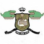 Profile Picture of Alexandru Radulescu (@radulescu.alexandru) on Instagram