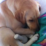 Profile Picture of lucy_pope (@lucy_pope) on Instagram