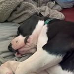 Profile Picture of Hugo Mitchell (@hugo3.0mitchell) on Instagram