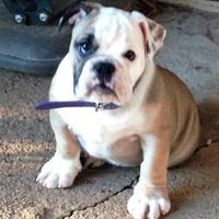 Profile Picture of Eric Pfister (@eric-pfister-8) on Quora