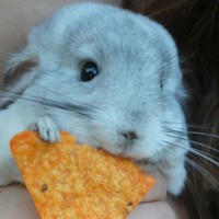 Profile Picture of Bianca Paul (@bianca-paul-10) on Quora