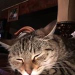 Profile Picture of Seth Bateman (@batemanseth) on Instagram