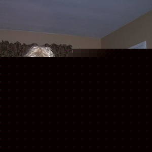 Profile Picture of Rudy Vidales (@220300356) on Myspace