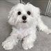 Profile Picture of Thomas Wolfgang (@thomas.wolfgang.02973) on Facebook