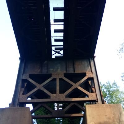 Profile Picture of Amelia Barlow (@aameliacb) on Twitter