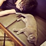 Profile Picture of Yusuke Watanabe (@yusukewatanabe) on Instagram