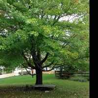 Profile Picture of Isaac Dayan (@isaac-dayan-1) on Quora