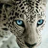 Profile Picture of Andre (@@andremachado) on Tiktok