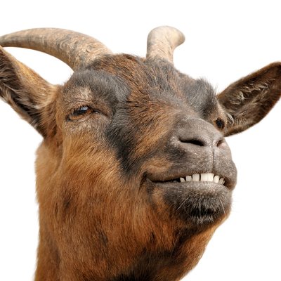 Profile Picture of Ralph Hidalgo (@rhidalgoman) on Twitter