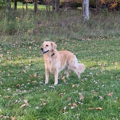 Profile Picture of Jamie Niles (@NilesJamie) on Twitter