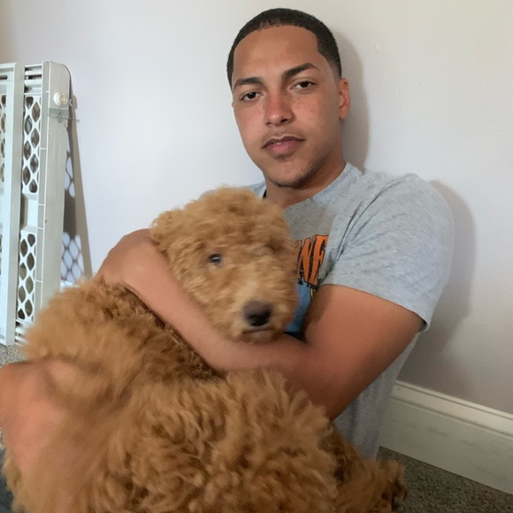 Profile Picture of Benjamin Baez (@ben10baez) on Poshmark
