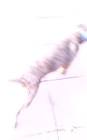 Profile Picture of   PinkFlamingFlamingo... (@pinkflamingflamingos) on Tiktok