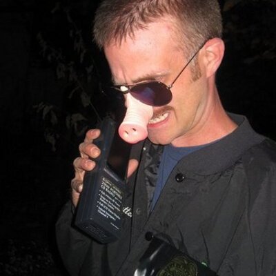 Profile Picture of David Chatterton (@dchatterton0001) on Twitter