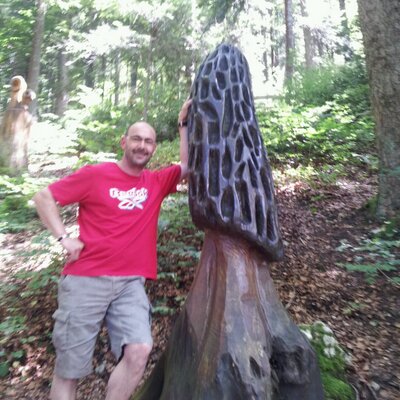 Profile Picture of Marco Donzé (@zedon66) on Twitter