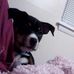 Profile Picture of Saundra Quattlebaum (@saundra.quattlebaum) on Facebook