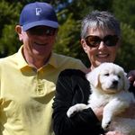 Profile Picture of Sherry Carey (@careysherry45) on Instagram