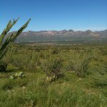 Profile Picture of robertmenes (@robertmenes) on Instagram