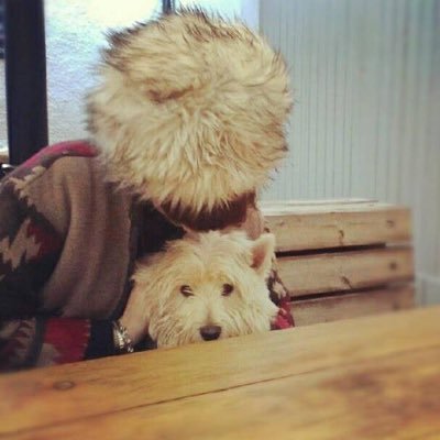 Profile Picture of Lorna Picton (@lornapicton) on Twitter