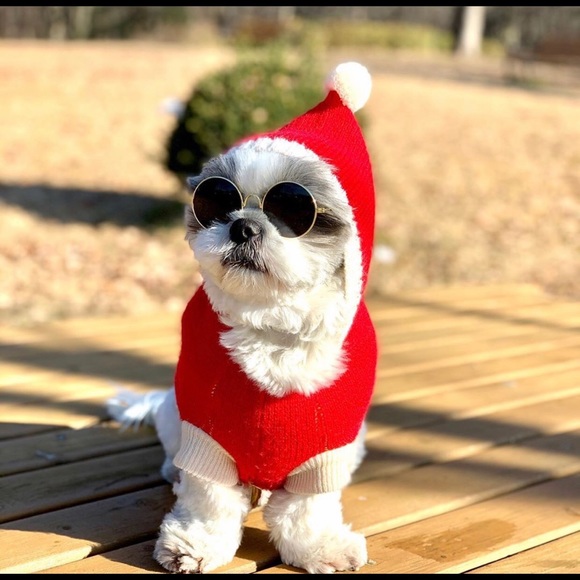 Profile Picture of Hai Zhang (@hailux) on Poshmark