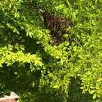 Profile Picture of Christopher Pappert (@Christopher-Pappert) on Facebook