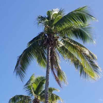 Profile Picture of Sebastian (@Vollmer939) on Twitter