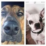Profile Picture of Raymond Baril (@insurman) on Instagram