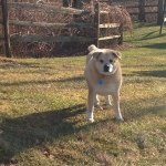 Profile Picture of Addison Chandler I Love Dance (@addieemly) on Instagram