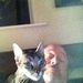 Profile Picture of David Hathorne (@davidhathorne) on Pinterest