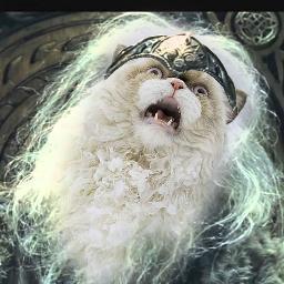 Profile Picture of Bruce (@FlamingBruce) on Twitter
