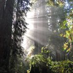 Profile Picture of Jason tavenner (@jasontavenner) on Instagram