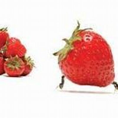 Profile Picture of Paul Twomey (@twomey918btinte) on Twitter