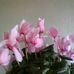 Profile Picture of Kathleen Hawkes (@kathleen.hawkes.165) on Facebook