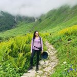 Profile Picture of Sandhya Agrawal (@sandhya_flowers_ceramics) on Instagram