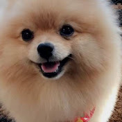 Profile Picture of Andrew Jacobo (@andrewjacobo3096) on Youtube