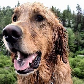 Profile Picture of Aaron Goodlett (@aaron.goodlett.9) on Facebook