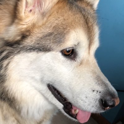 Profile Picture of Jack Huston (@jackh802) on Twitter