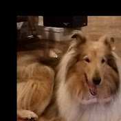 Profile Picture of Andrew Ferguson (@andrewferguson6311) on Youtube