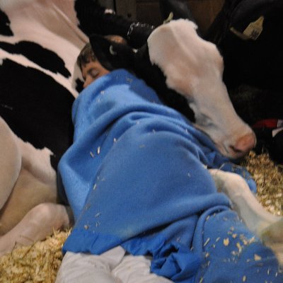 Profile Picture of Jonathan Horne (@jonathanhorne67) on Twitter