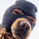 Profile Picture of Lindsey Rhoades (@lindseyrtattoo) on Instagram