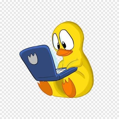 Profile Picture of Patinho_DUCK (@AlisonSalomao) on Twitter