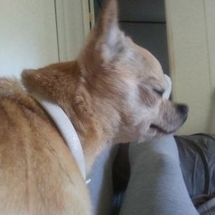 Profile Picture of Brian Boxer (@BrianBoxer3) on Twitter